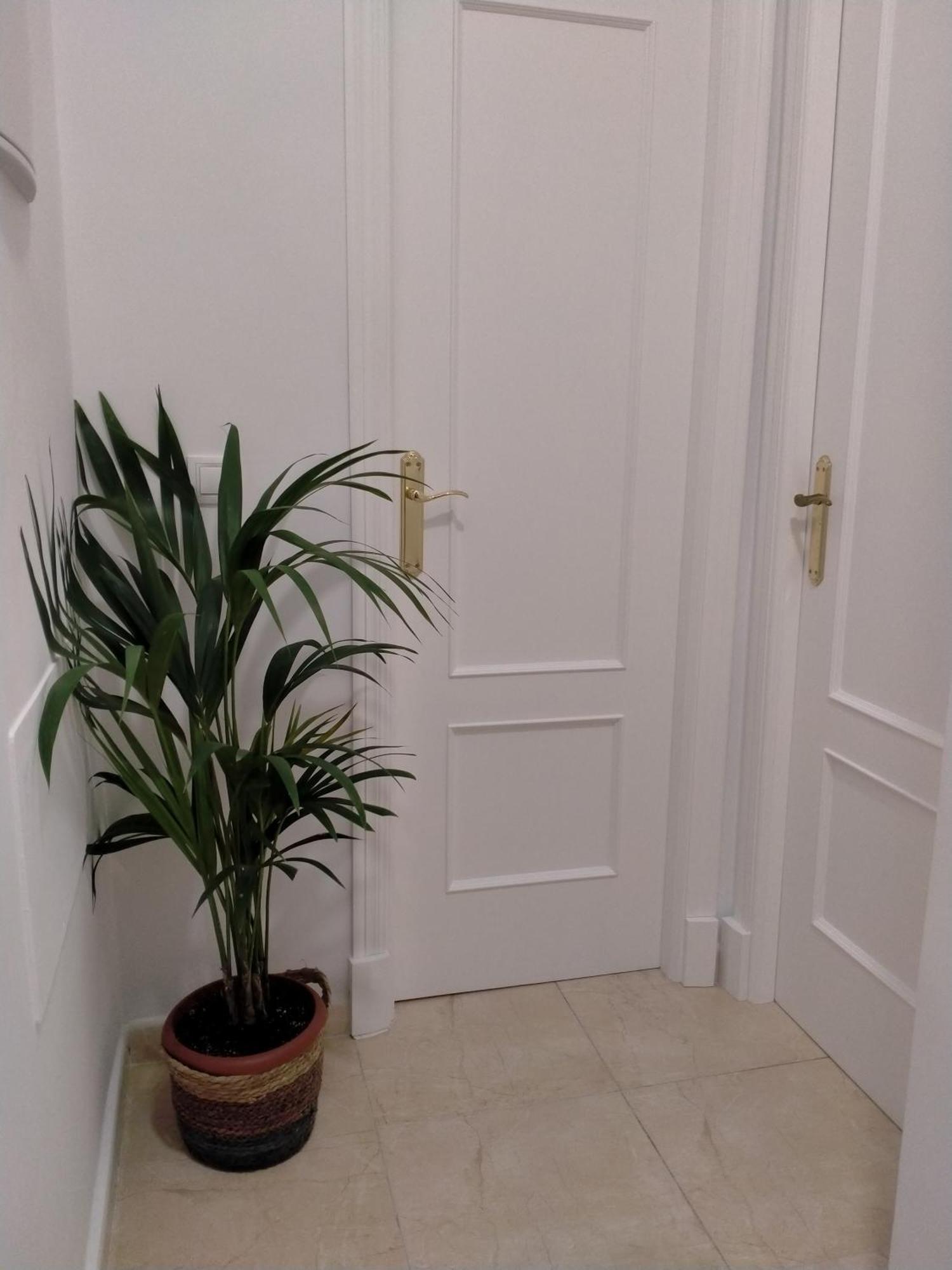 Apartamento Las Tres Lunas Sanlúcar de Barrameda Εξωτερικό φωτογραφία